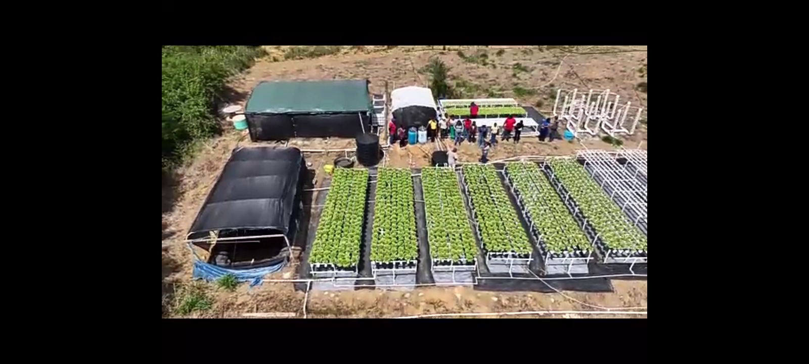 Aerial view of the farm layout
