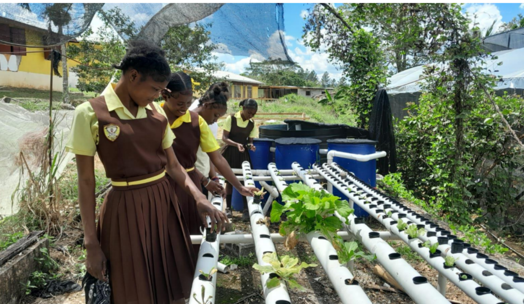 Students learning with a demonstration NFT system